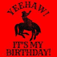 Yeehaw Its My Birthday Cowboy Western Rodeo Party Santa Hat thumb 1
