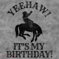 Yeehaw Its My Birthday Cowboy Western Rodeo Party Toddler Hoodie thumb 2