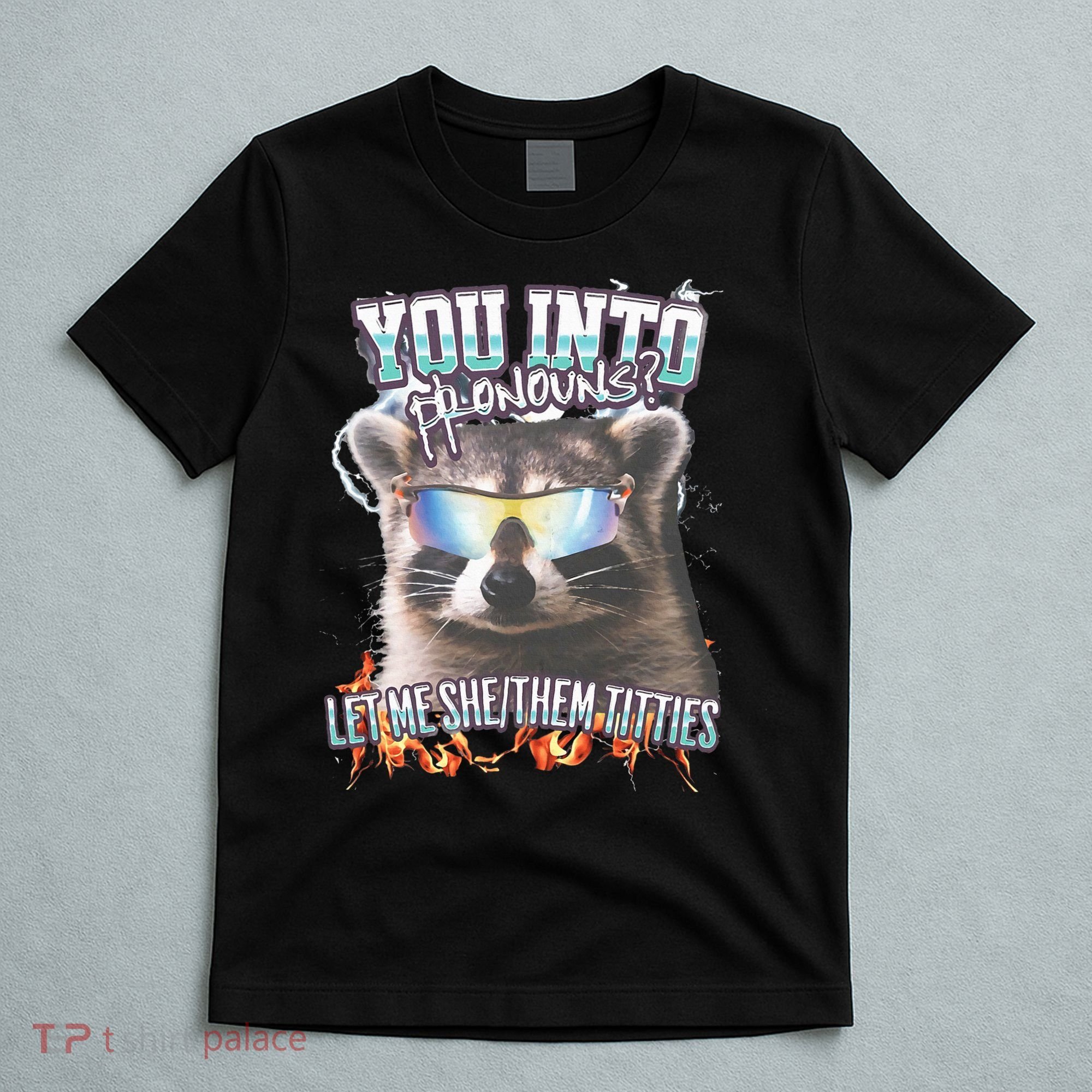YouRe Into Pronouns Let Me Shethem Tiddies Funny Raccoon T-Shirt