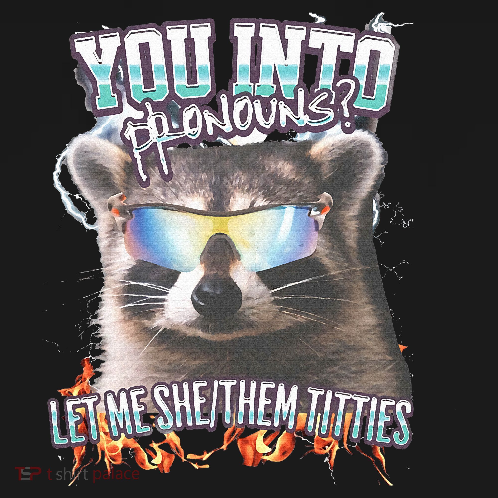 YouRe Into Pronouns Let Me Shethem Tiddies Funny Raccoon T-Shirt