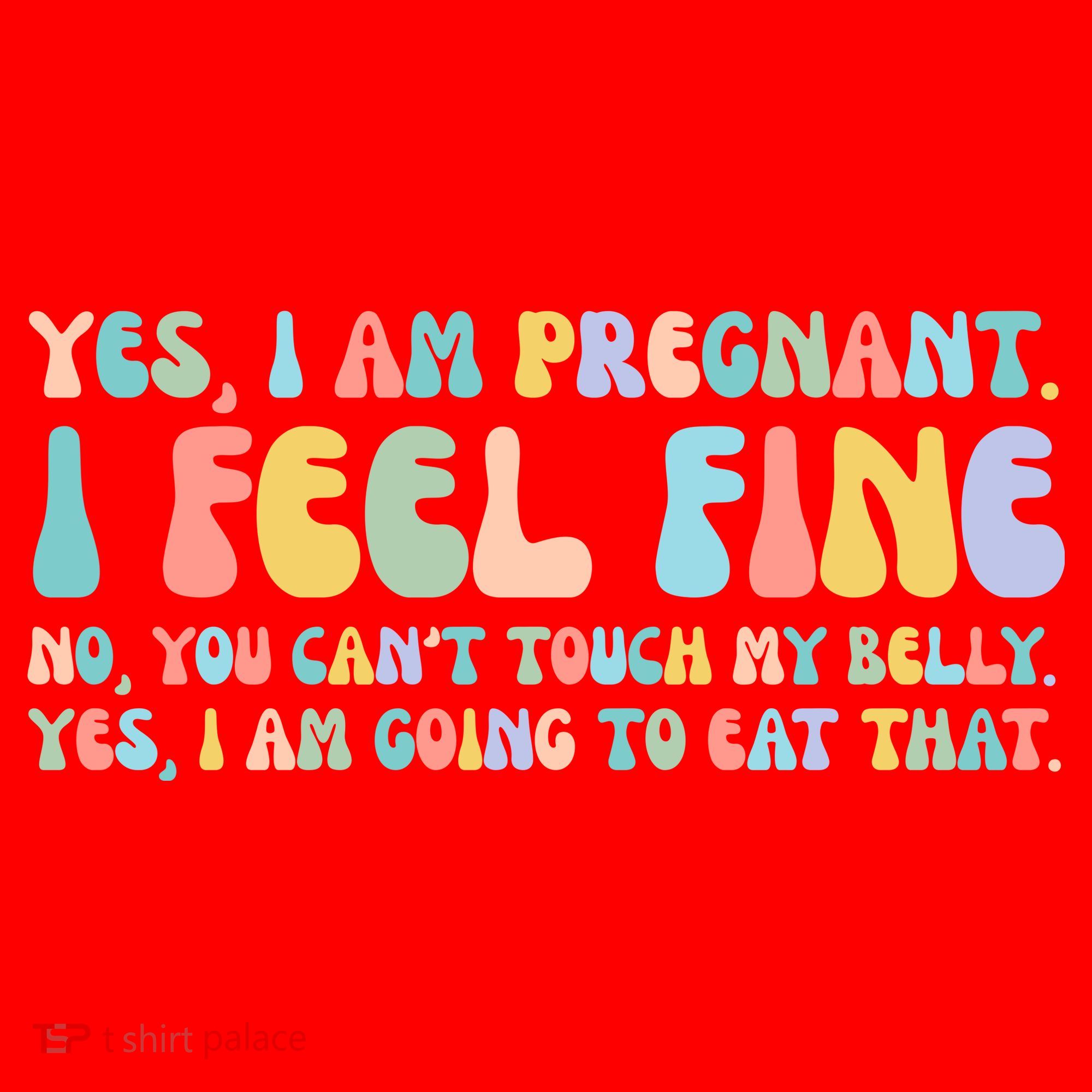 Yes I'm Pregnant You Can't Touch My Belly Funny Santa Hat