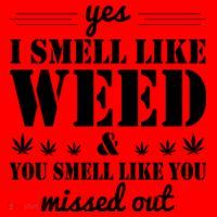Yes I Smell Like Weed Santa Hat thumb 1