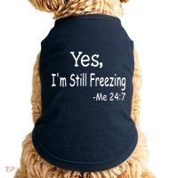 Yes I'm Still Freezing Me 24 7 Funny Man And Woman Cold Gift Doggie Tank thumb 0