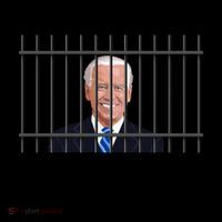 You Indicted The Wrong President Joe Biden Funny Kids Colorblock Raglan Jersey thumb 2