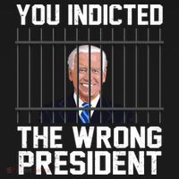 You Indicted The Wrong President Joe Biden Funny Tote Bag thumb 4