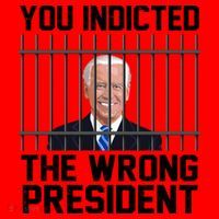 You Indicted The Wrong President Joe Biden Funny Santa Hat thumb 1