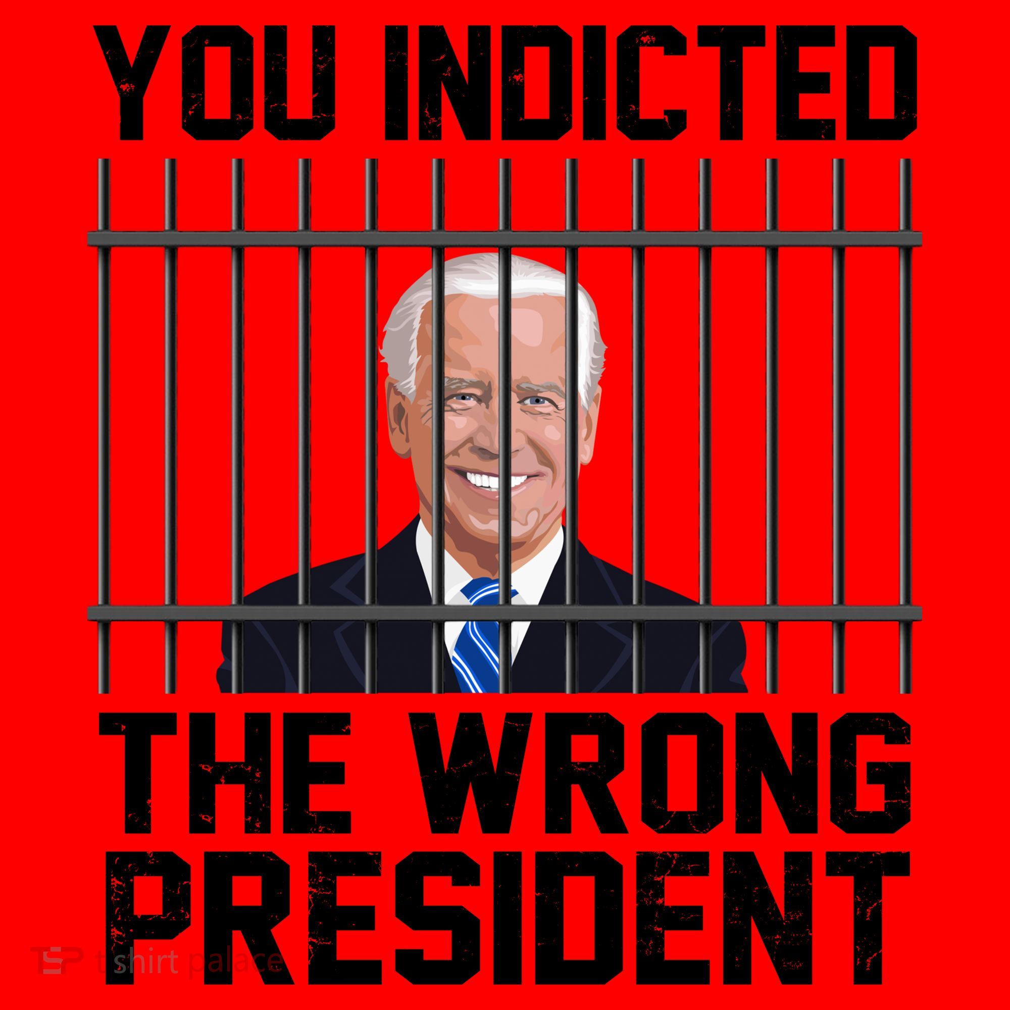 You Indicted The Wrong President Joe Biden Funny Santa Hat