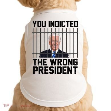 You Indicted The Wrong President Joe Biden Funny Doggie Tank