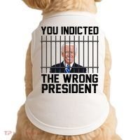 You Indicted The Wrong President Joe Biden Funny Doggie Tank thumb 0