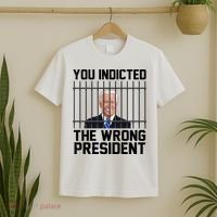 You Indicted The Wrong President Joe Biden Funny T-Shirt thumb 2