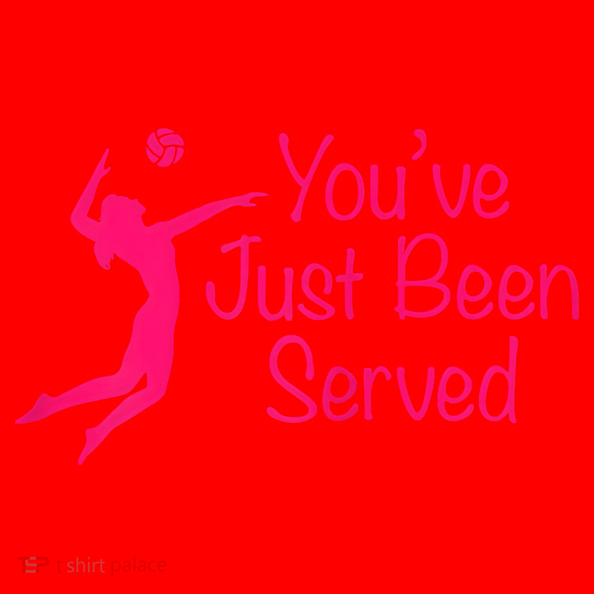 You've Just Been Served Volleyball Santa Hat