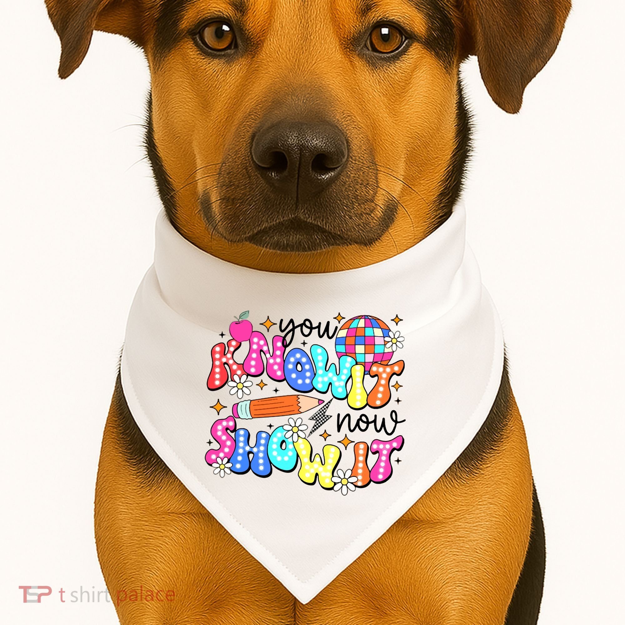 You Know It Now Show It State Testing USA-Made Doggie Bandana