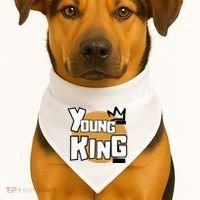 Young Kings Talk The Talk And Walk The Walk USA-Made Doggie Bandana thumb 1