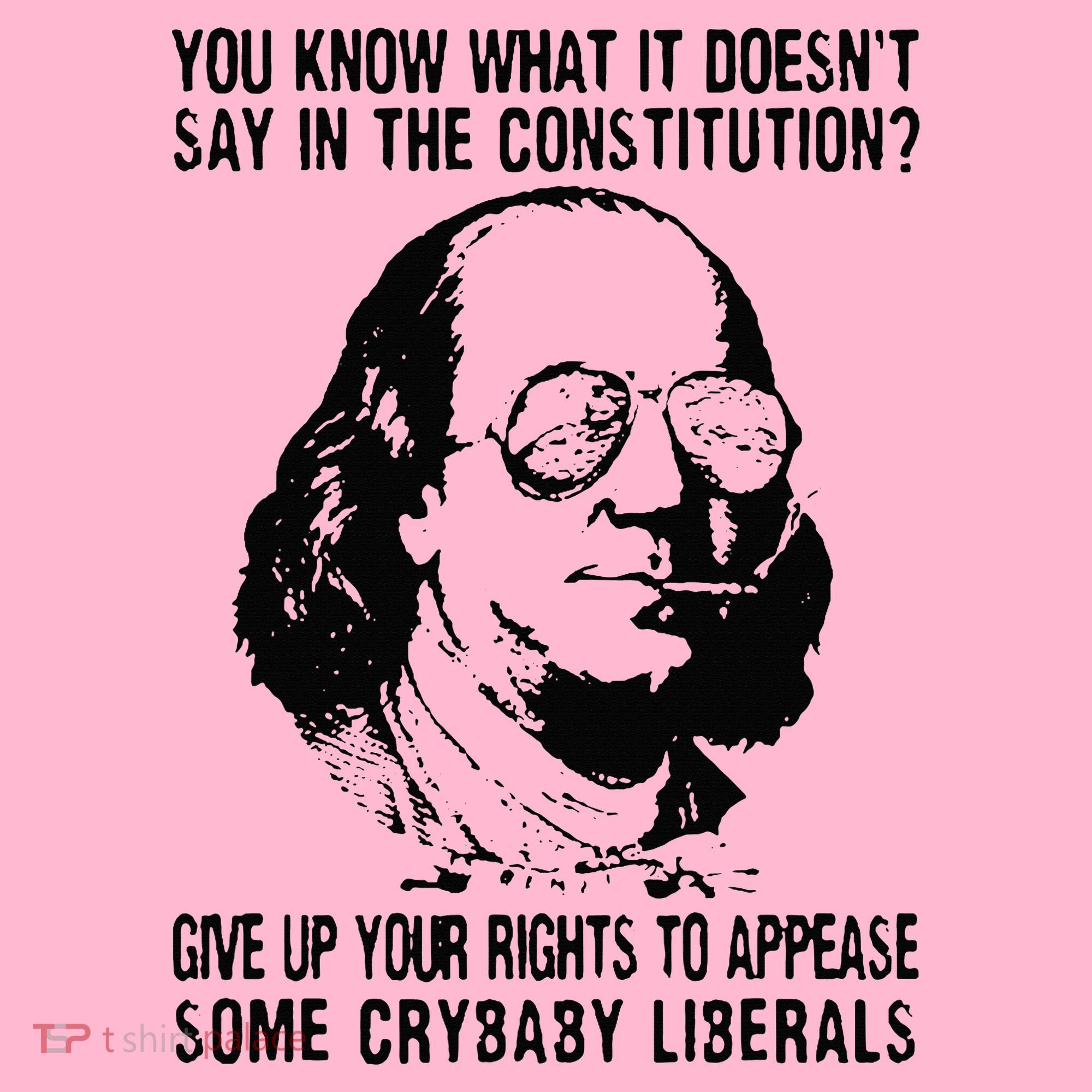 You Know What It Doesn't Say In The Constitution Coaster