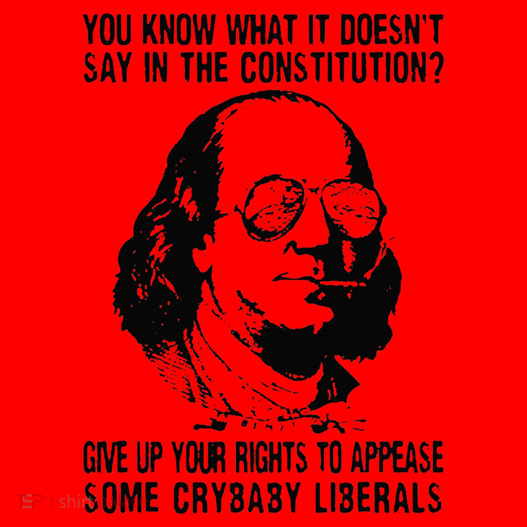 You Know What It Doesn't Say In The Constitution Santa Hat