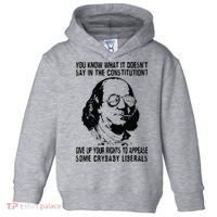 You Know What It Doesn't Say In The Constitution Toddler Hoodie thumb 0