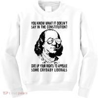 You Know What It Doesn't Say In The Constitution Kids Sweatshirt thumb 0