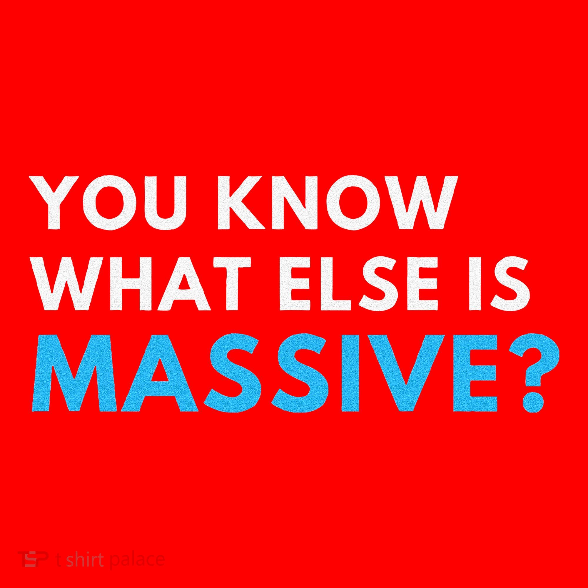 You Know What Else Is Massive Meme Santa Hat