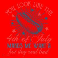 You Look Like The 4th Of July Independence Day Santa Hat thumb 1