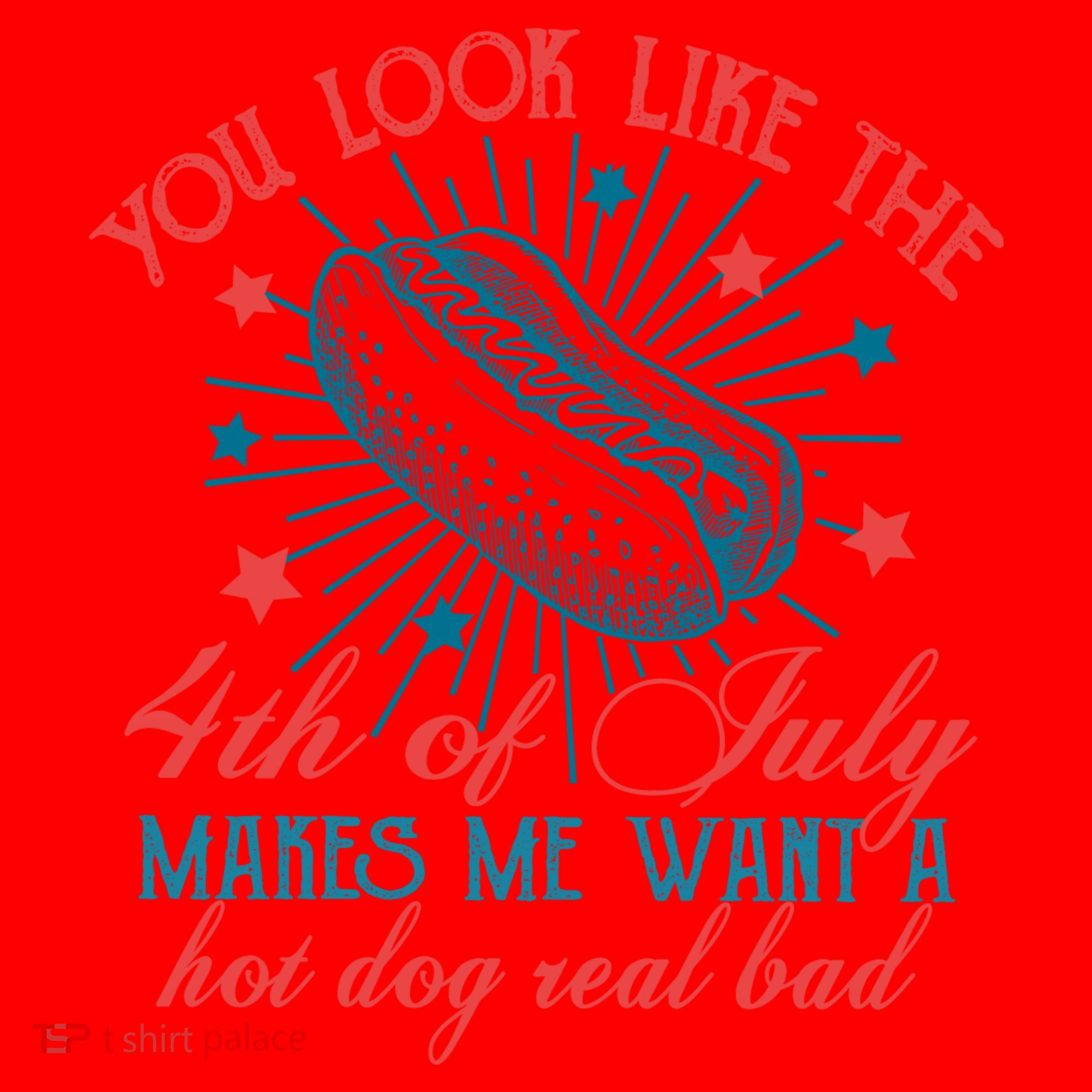 You Look Like The 4th Of July Independence Day Santa Hat