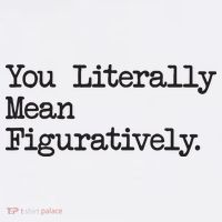 You Literally Mean Figuratively Funny Saying Quote Women's Hoodie thumb 2