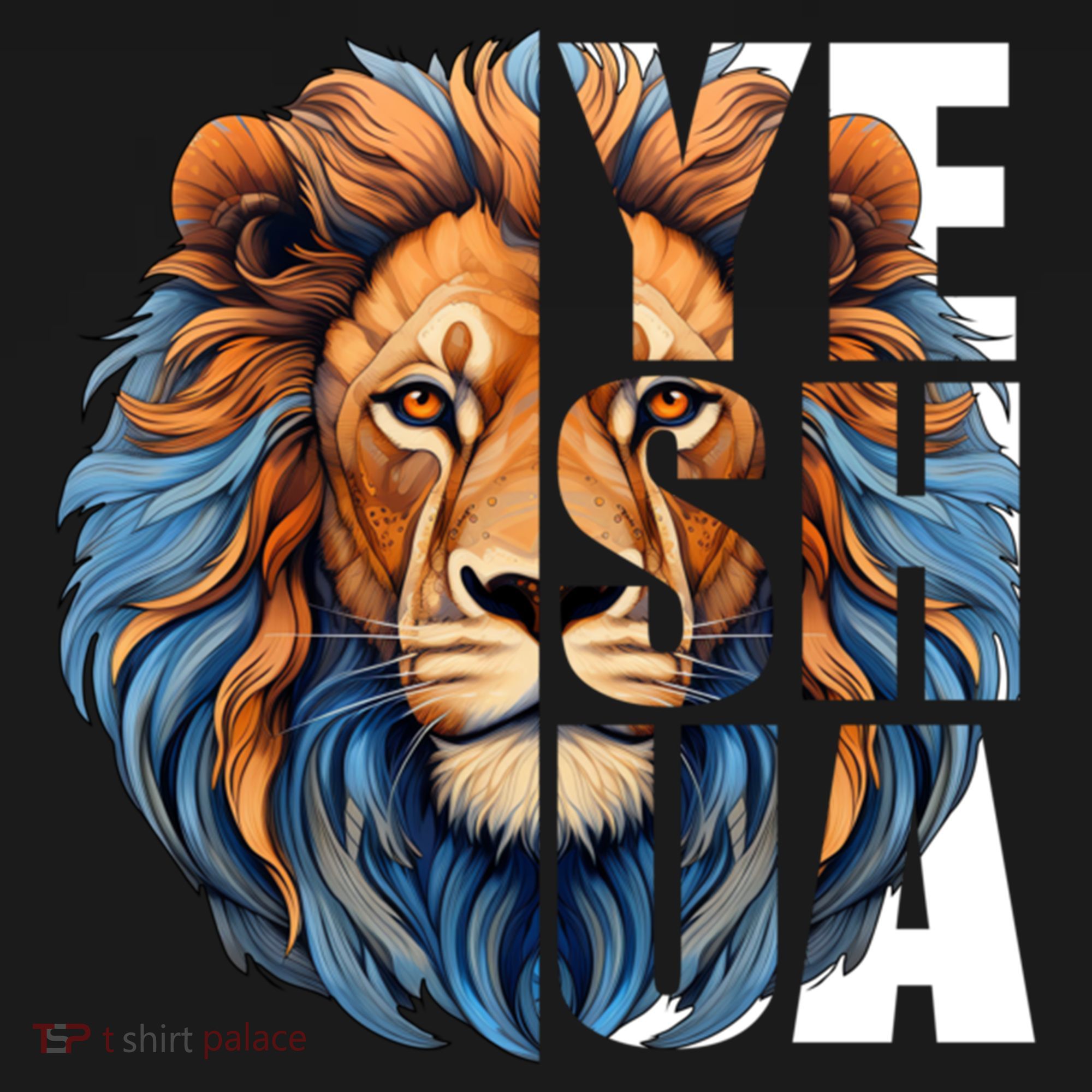 Yeshua Lion Of Judah Fear Bible Christian Religious Cool Gift Women's Hoodie