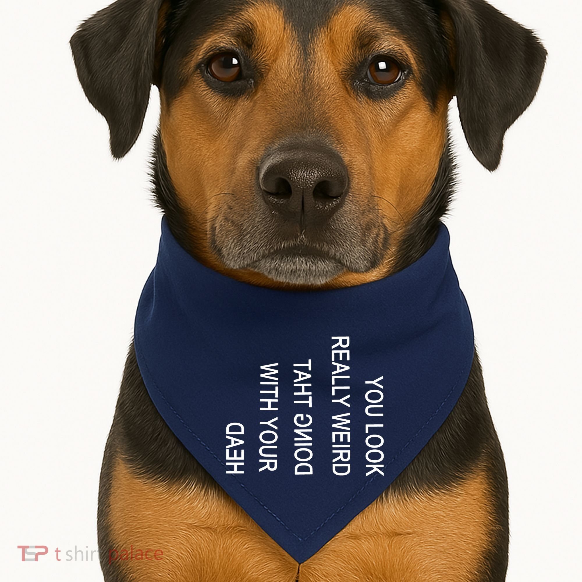 You Look Really Weird Doing That With Your Head Funny Text USA-Made Doggie Bandana