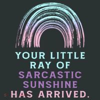 Your Little Ray Of Sarcastic Sunshine Has Arrived Hoodie thumb 2