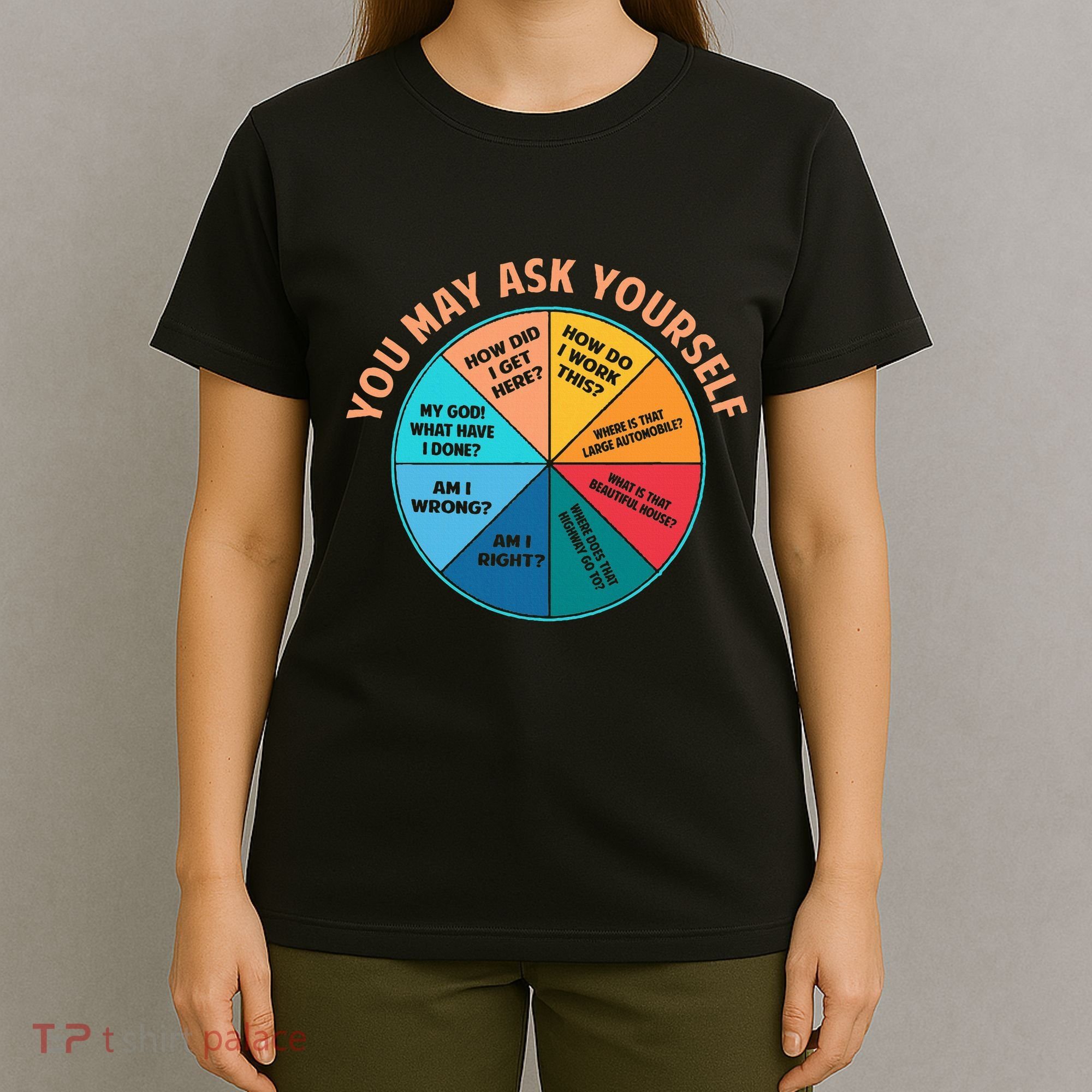 You May Ask Yourself Once In A Lifetime Pie Chart T-Shirt