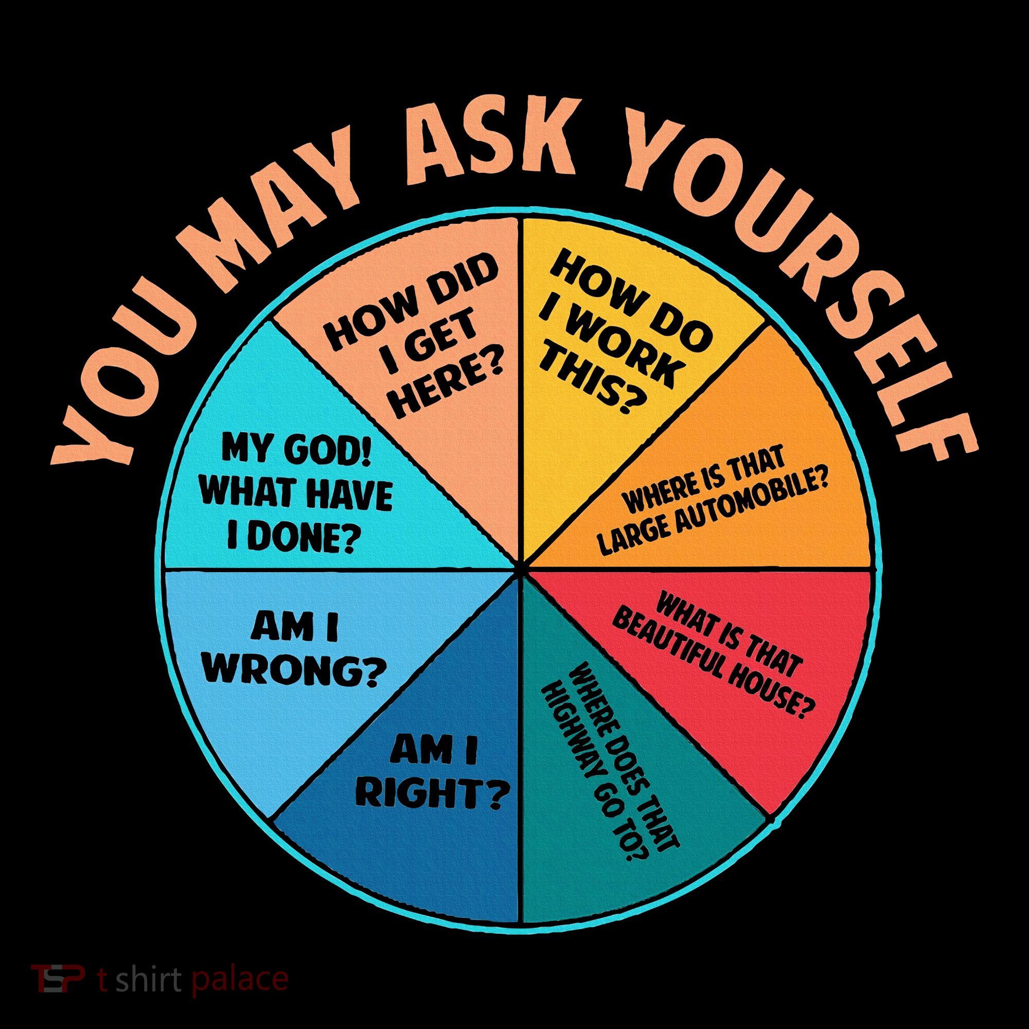 You May Ask Yourself Once In A Lifetime Pie Chart Women's Hoodie