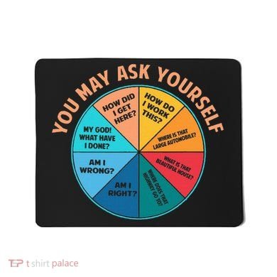 You May Ask Yourself Once In A Lifetime Pie Chart Mousepad