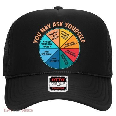 You May Ask Yourself Once In A Lifetime Pie Chart Hat