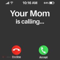 Your Mom Is Calling Shirt Your Mom Is Calling Ornament thumb 1