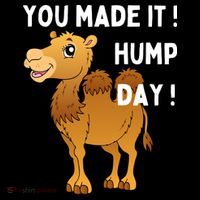 You Made It Hump Day Sweatshirt thumb 3