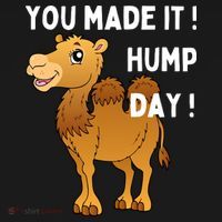 You Made It Hump Day Bucket Hat thumb 4