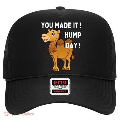 You Made It Hump Day Hat