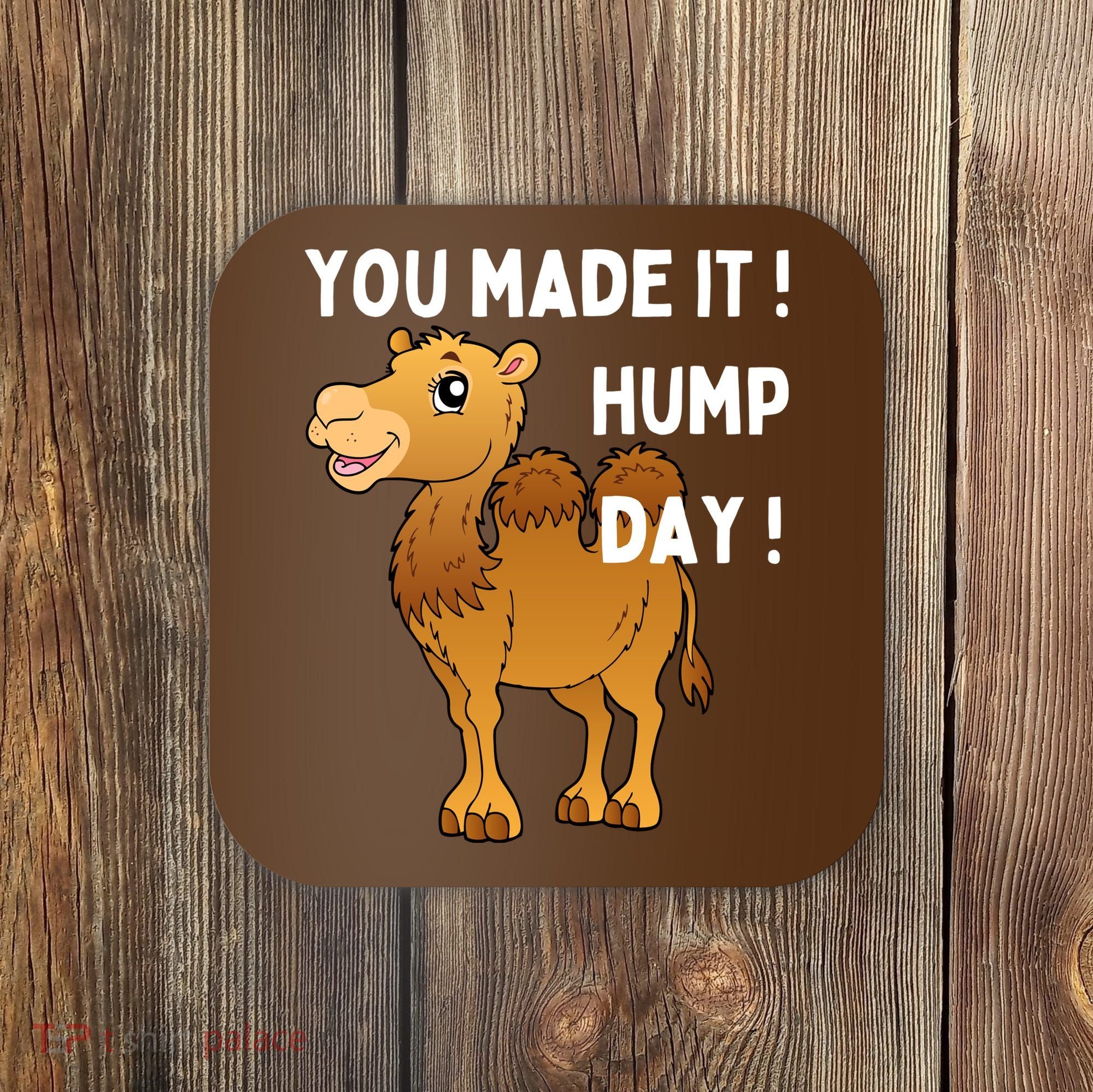 You Made It Hump Day Coaster
