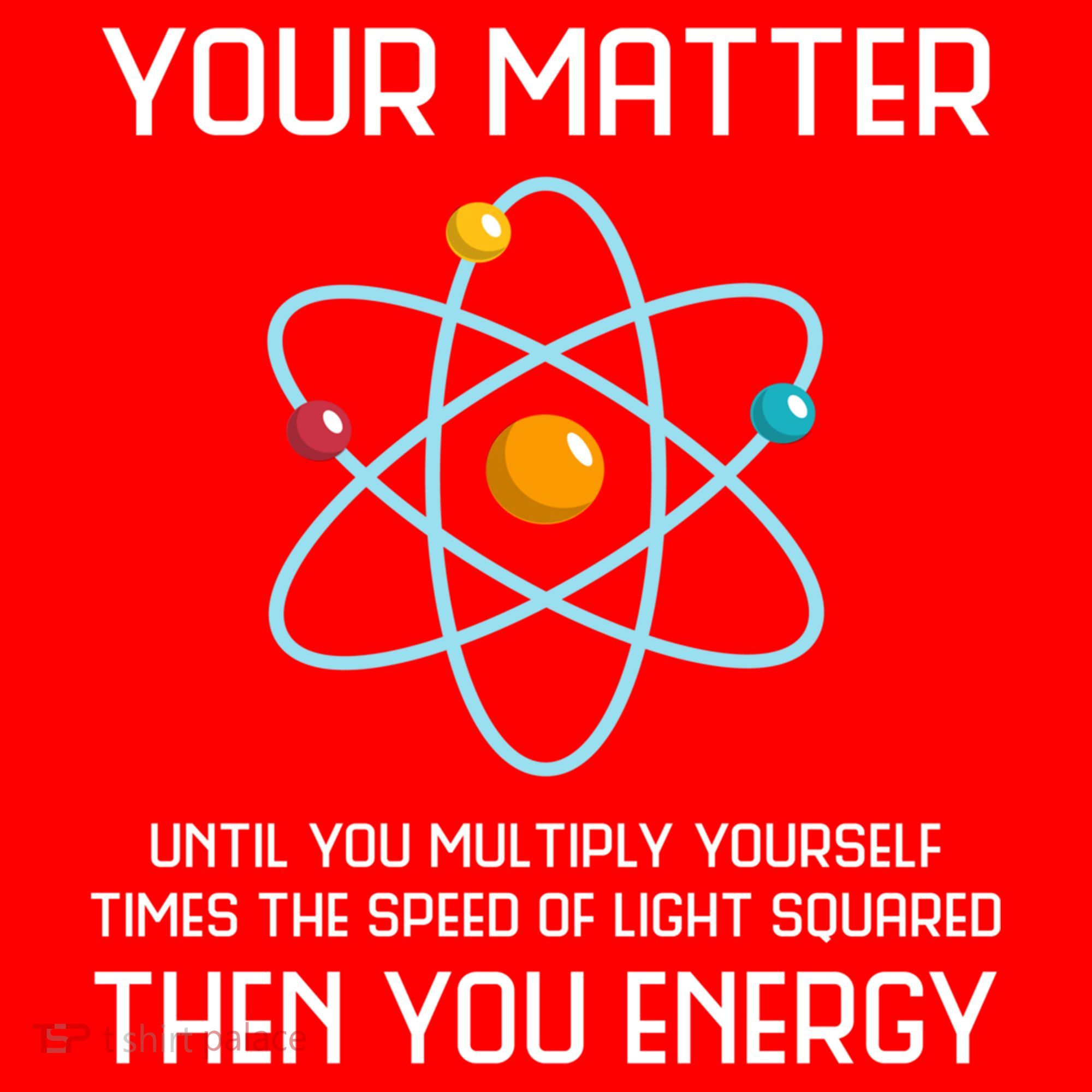 Your Matter You Energy Tee Funny Physicist Physics Lover Cute Gift Santa Hat