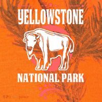 Yellowstone National Park Kati Licensed 12" Camo Cuffed Beanie thumb 2