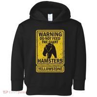 Yellowstone National Park Grizzly Brown Bear Souvenir Toddler Hoodie thumb 0