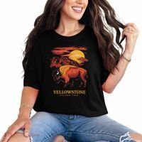 Yellowstone National Park Sun Bison Graphic Comfort Colors T-Shirt thumb 0