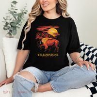 Yellowstone National Park Sun Bison Graphic Comfort Colors T-Shirt thumb 2