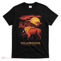 Yellowstone National Park Sun Bison Graphic T-Shirt thumb 0