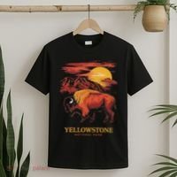 Yellowstone National Park Sun Bison Graphic T-Shirt thumb 2