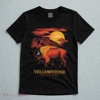 Yellowstone National Park Sun Bison Graphic T-Shirt thumb 5
