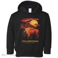 Yellowstone National Park Sun Bison Graphic Toddler Hoodie thumb 0