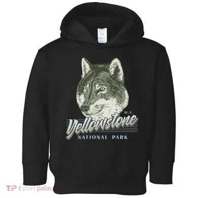 Toddler Hoodie
