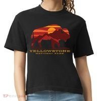 Yellowstone National Park Wyoming Buffalo Bison Sunset Comfort Colors Boxy T-Shirt thumb 0