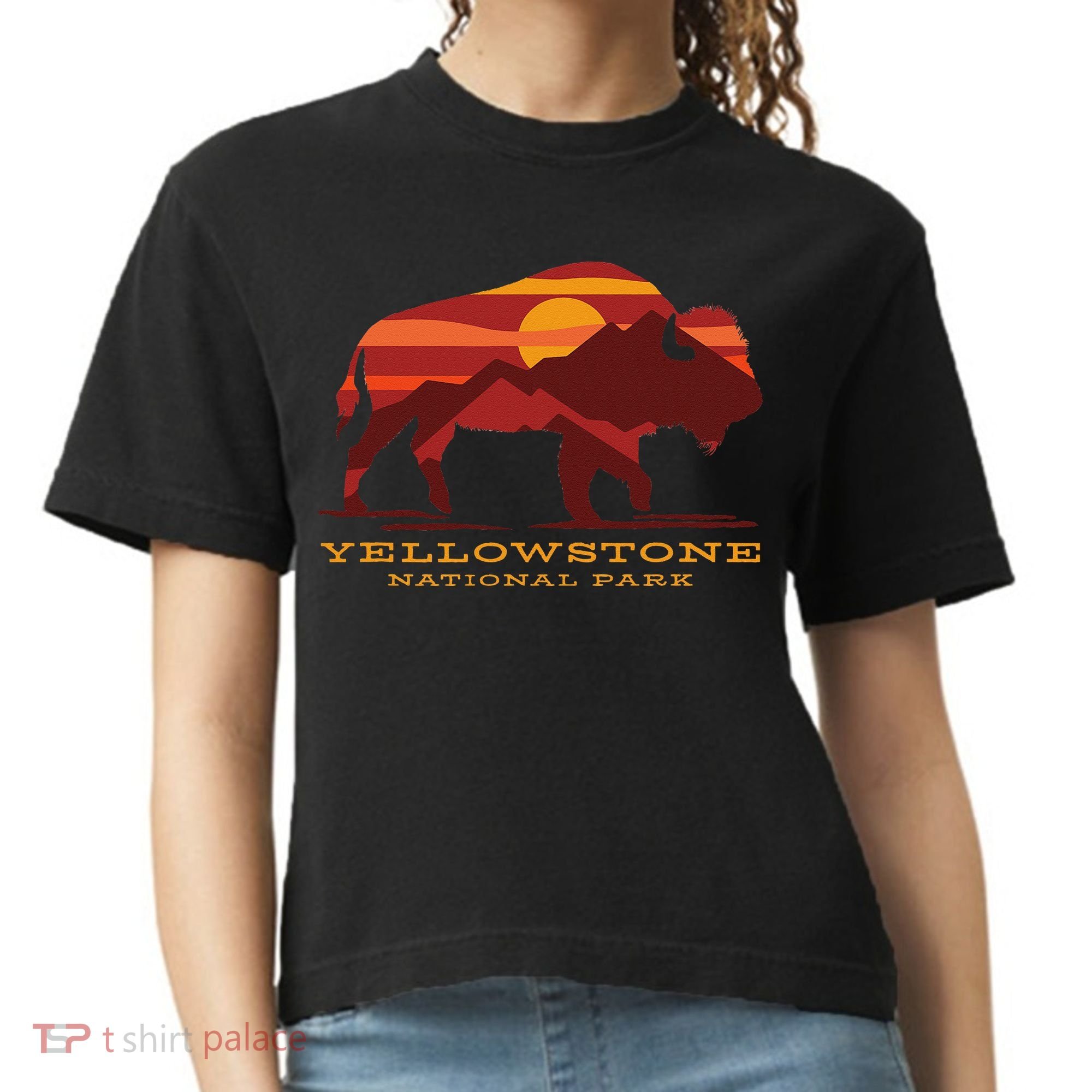 Yellowstone National Park Wyoming Buffalo Bison Sunset Comfort Colors Boxy T-Shirt