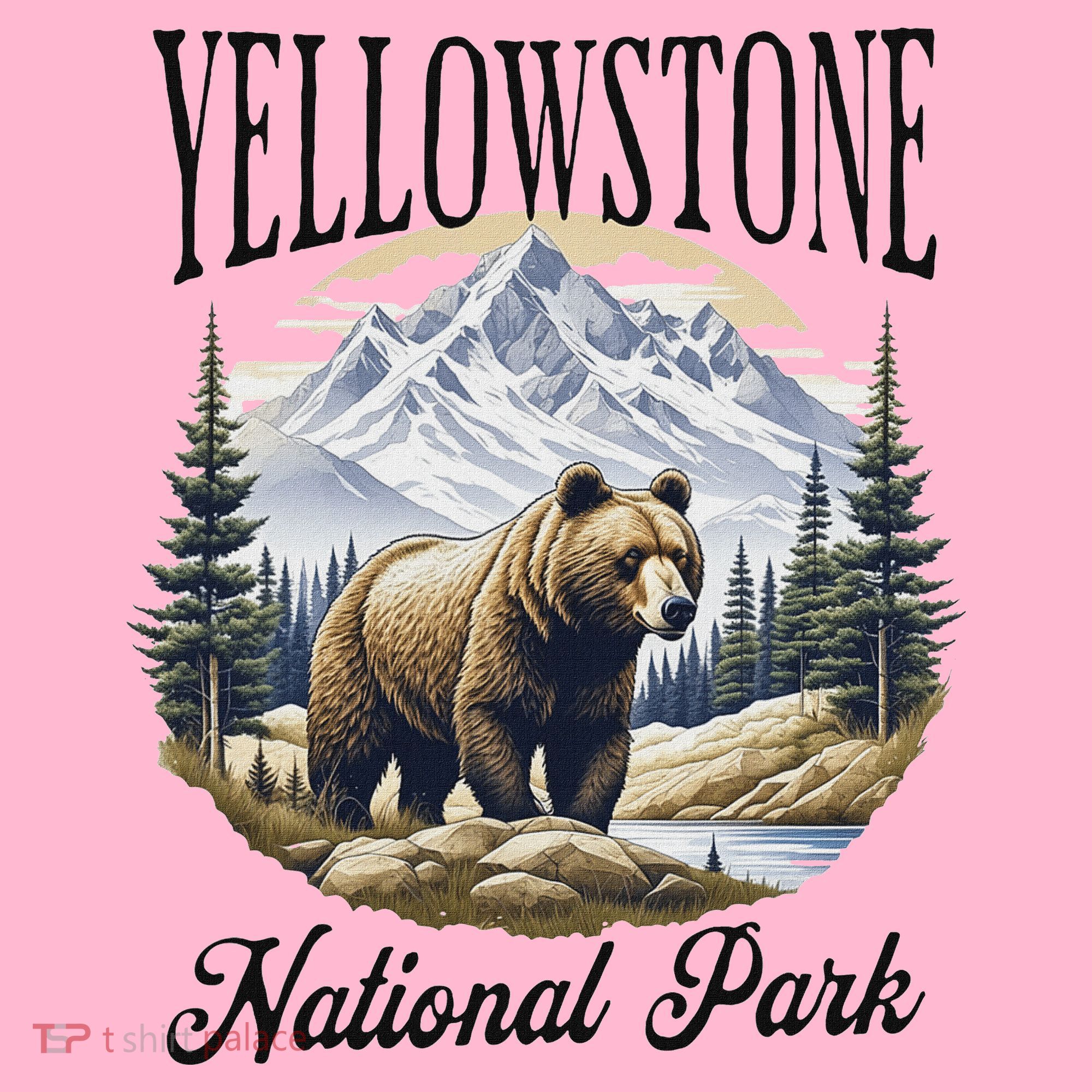 Yellowstone National Park Coaster